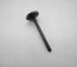 Preview: 1160500126 1160500226 Intake valve M116 M117