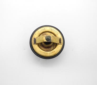 0022037275 Thermostat