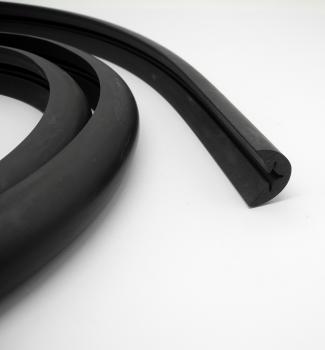 1168850221 Schutzschiene Stoßstange hinten