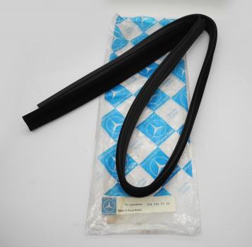 1237250425 Fensterlaufschiene Fahrertüren