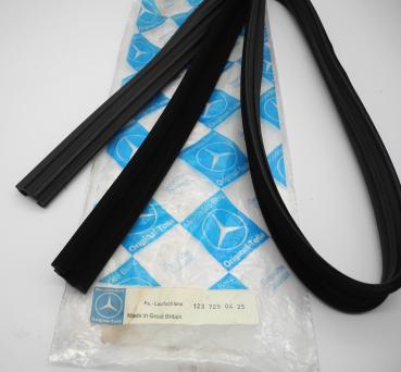 Preview: 1237250425 Fensterlaufschiene Fahrertüren