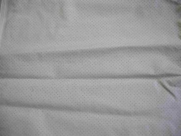 1237840009 Sunroof panel cream gray 8227