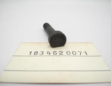 Preview: 1834620071 Schraube Lenkspindel