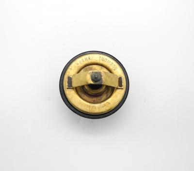 0022037275 Thermostat