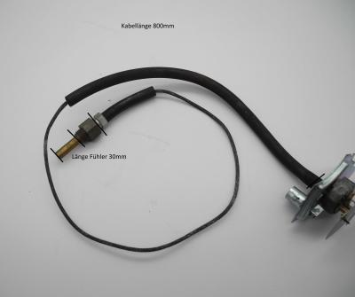 0025420605 Fernthermometer LKW Rundhauber