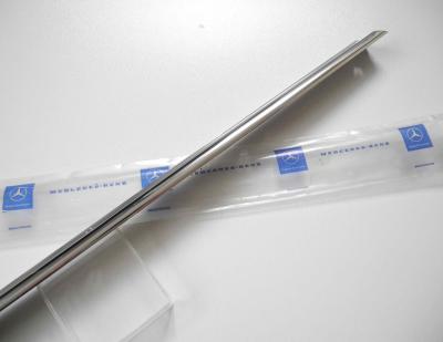 1077250365 Abdichtschiene links A-Säule SL