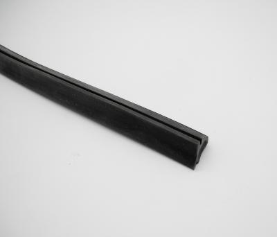 1077250566 Dichtung Hardtop hinten links R107