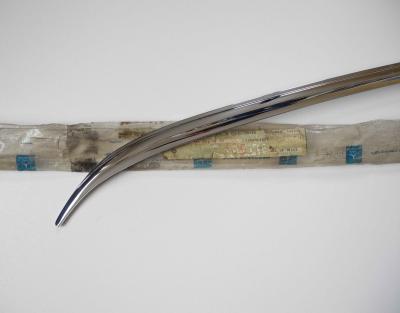 1156980189 Zierblende links an C-Säule /8