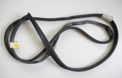 1247303578  Rear left door seal
