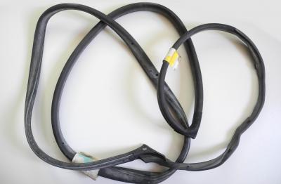 1247303578  Rear left door seal
