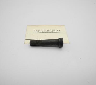 1834620071 Schraube Lenkspindel