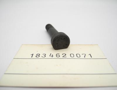 1834620071 Schraube Lenkspindel