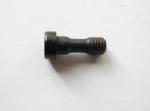 1089900419 Expansion Bolt