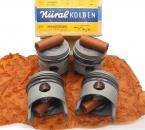 6210305618 Set of standard 87 mm pistons OM621